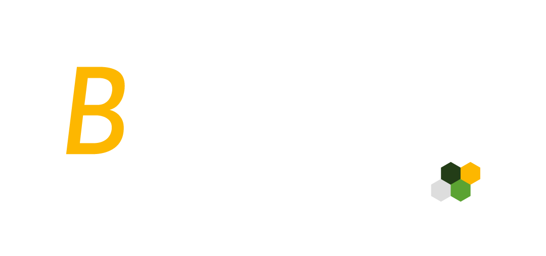 B-HIVE STUDIO